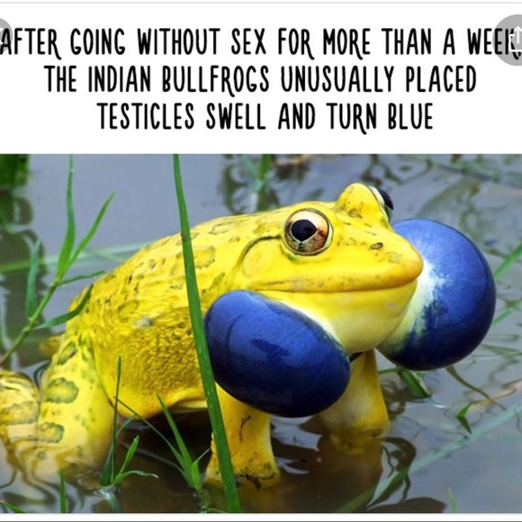 💥COMMENTS FULL LIKE NEW FOLLOW GAME #2 With the 🥕 carrot. - Picture 16 of 16